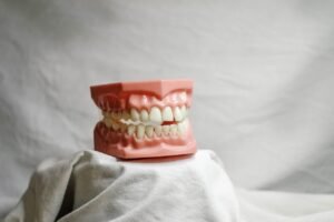 teeth, dental, dental model